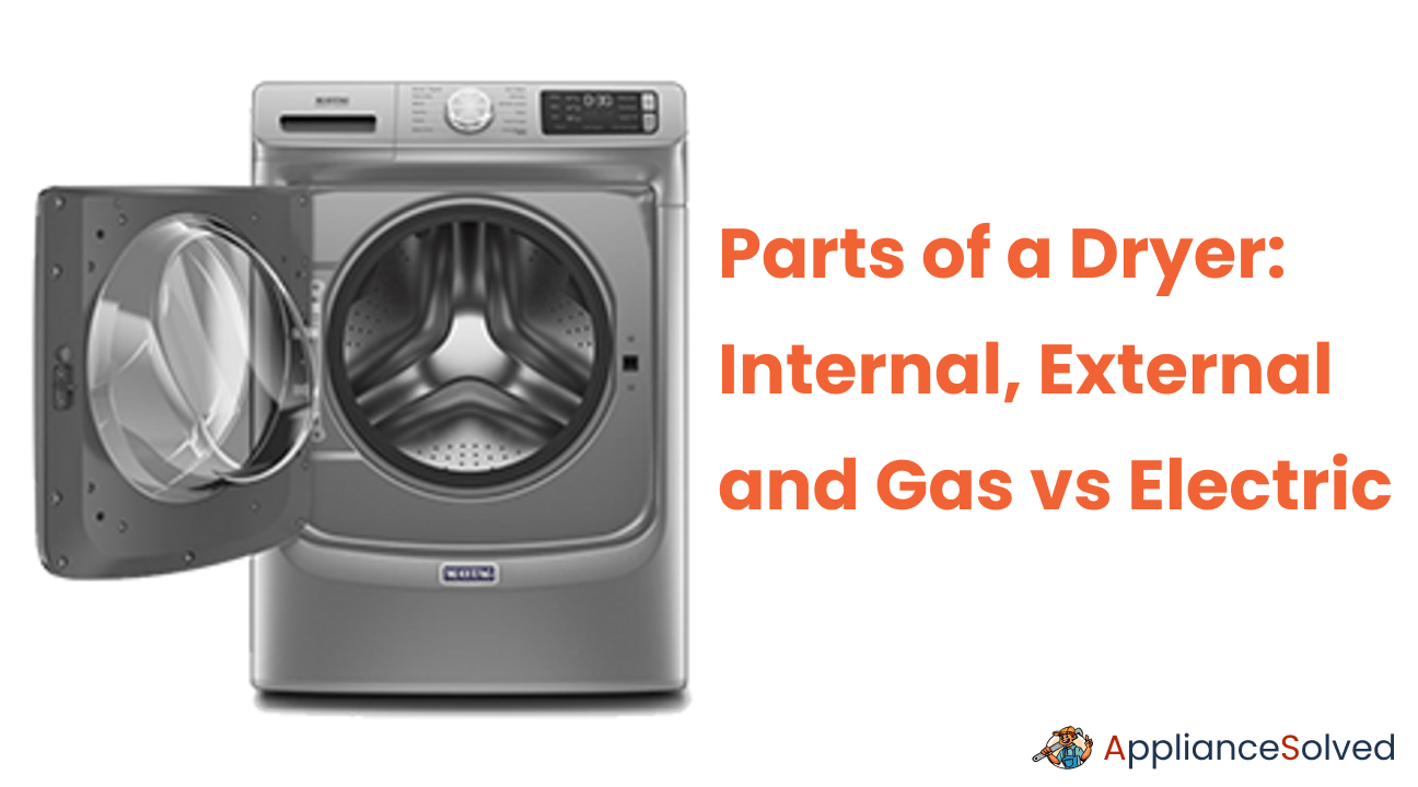 Parts of a Dryer: Internal, External and Gas vs Electric